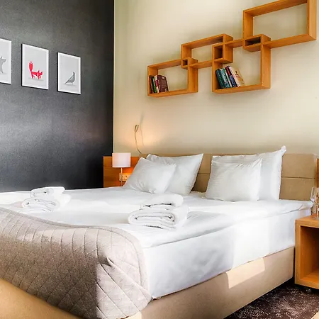 Otel Focus Premium